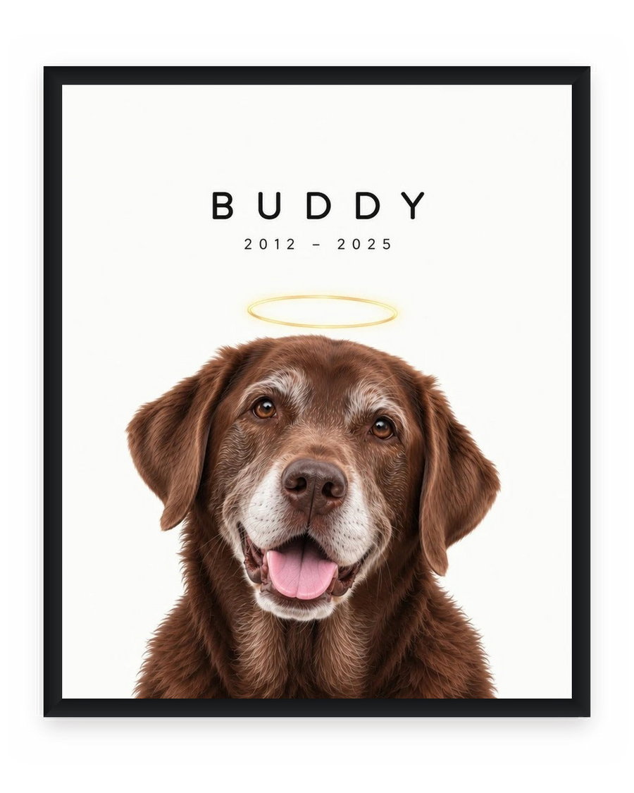 Pet memorial portrait of a dog with a soft halo, in a black frame