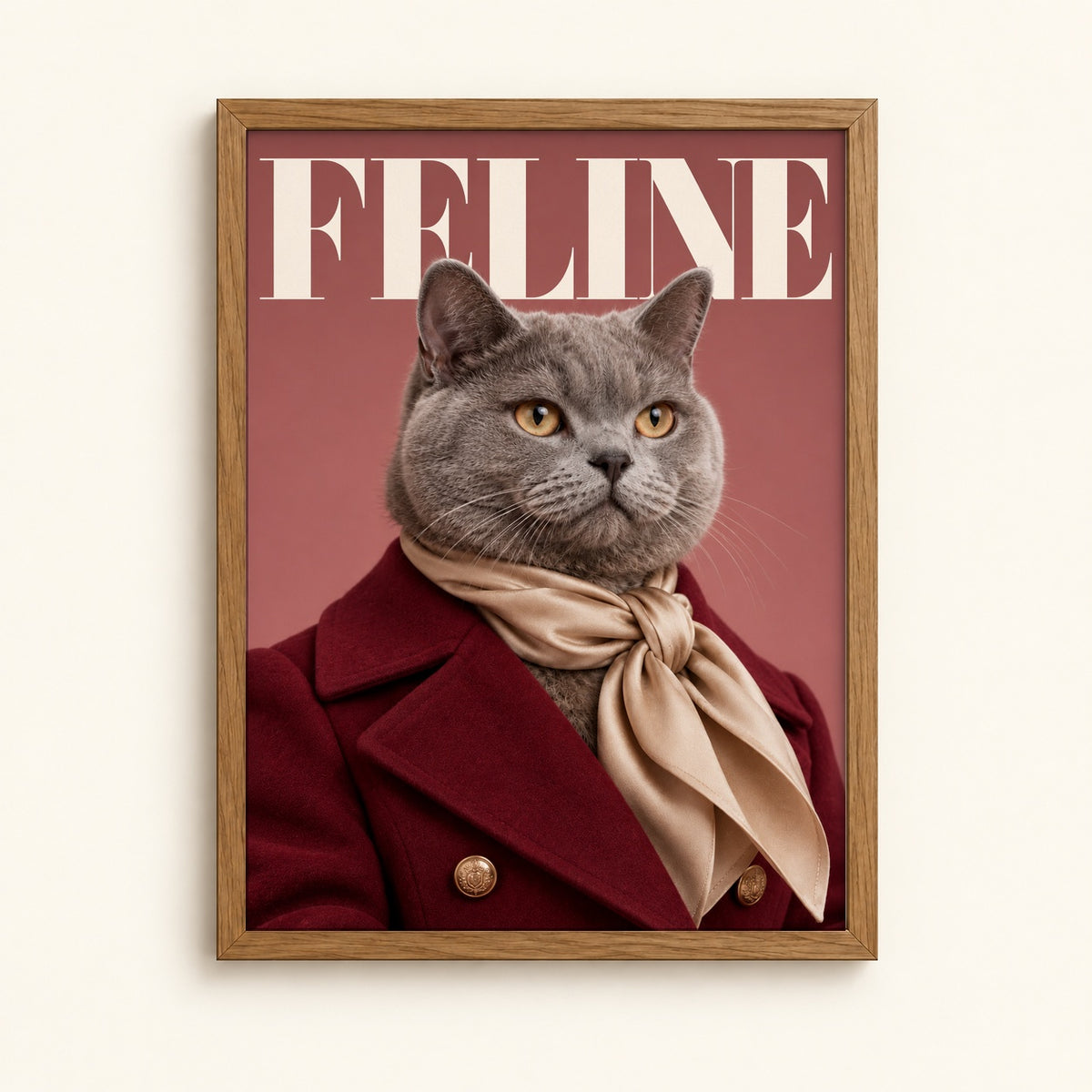 British Shorthair cat in a coat on a fashion magazine style cover — Feline cat wall art print