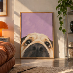 Peeking pug lilac poster displayed in a room