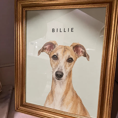 Customer's gold-framed portrait of Billie, a whippet