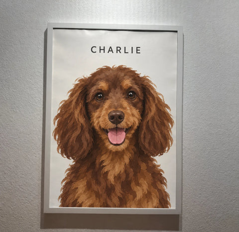 Customer's framed portrait of Charlie, a brown poodle mix