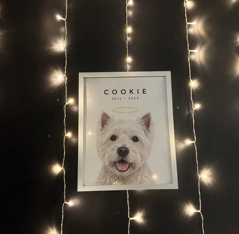 Customer's memorial portrait of Cookie, a westie, 2014 to 2026