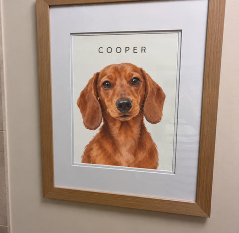 Customer's framed portrait of Cooper, a red dachshund