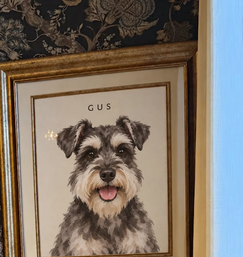Customer's gold-framed portrait of Gus, a schnauzer