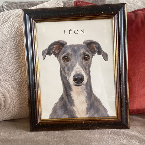 Customer's framed portrait of Léon, a whippet