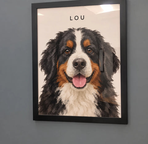 Customer's framed portrait of Lou, a Bernese mountain dog