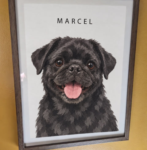 Customer's framed portrait of Marcel, a black pug
