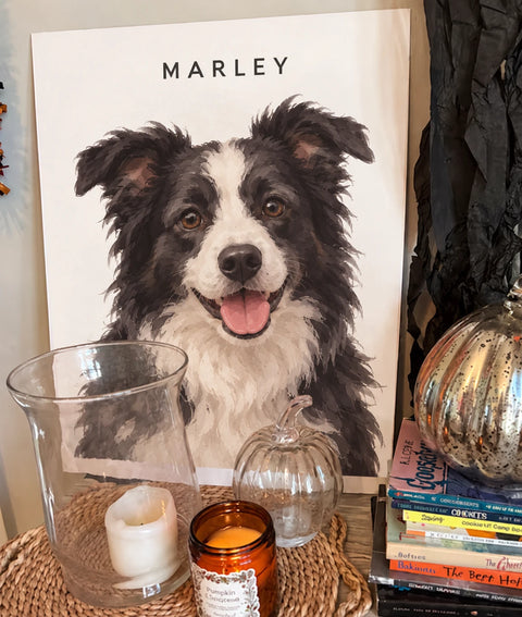 Customer's portrait of Marley, a border collie