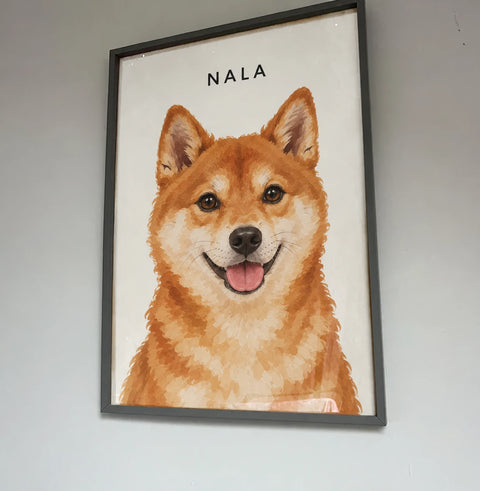 Customer's framed portrait of Nala, a Shiba Inu