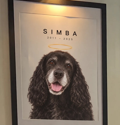Customer's memorial portrait of Simba, 2011 to 2025