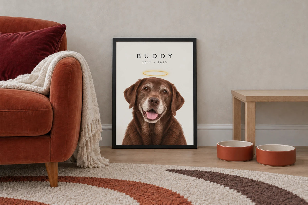 Framed memorial portrait of a chocolate labrador named Buddy with a golden halo